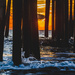 Sunrise Through The Piling  by lesip