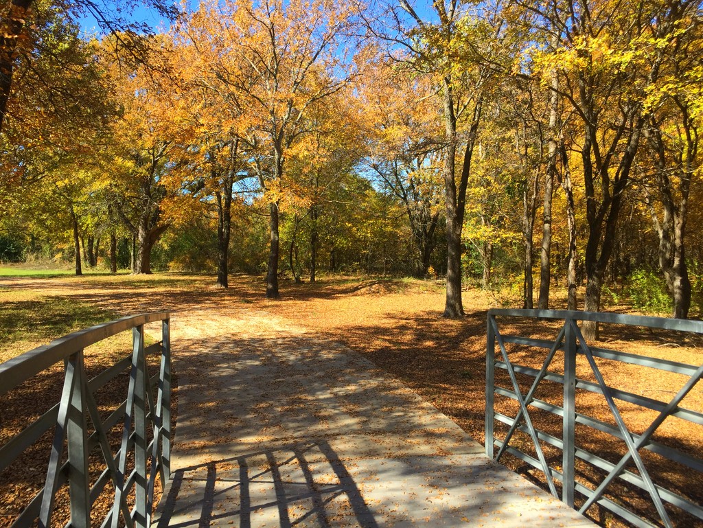 Crossing Into Fall by 365projectorgkaty2