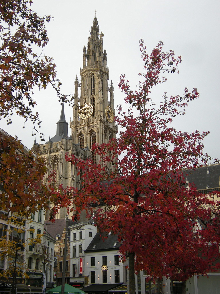 Autumn in Antwerp. Be. by pyrrhula
