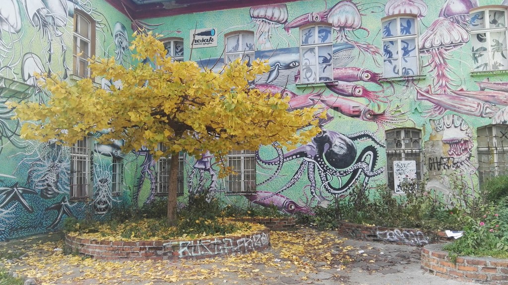 the only yellow tree on metelkova by zardz