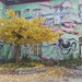 the only yellow tree on metelkova by zardz