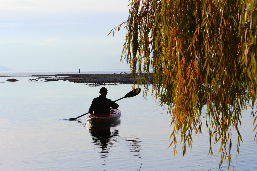 Kayaking on the Lake by gq
