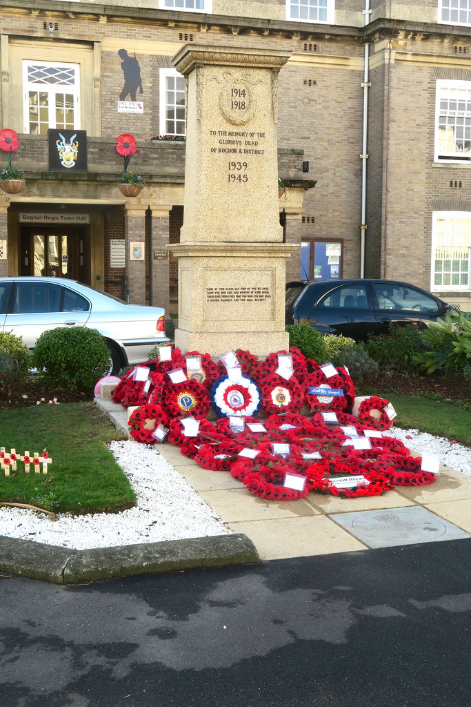 War Memorial Poppy Wreaths by davemockford