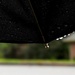 Under the Umbrella by grammyn
