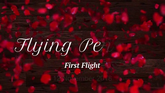 14th Nov 2018 - Flying Penguin First Flight