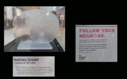 14th Nov 2018 - Brain Sculpture