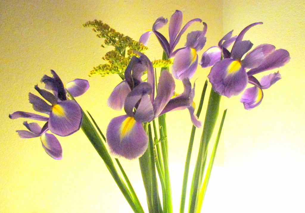 Spring flowers.. by filsie65