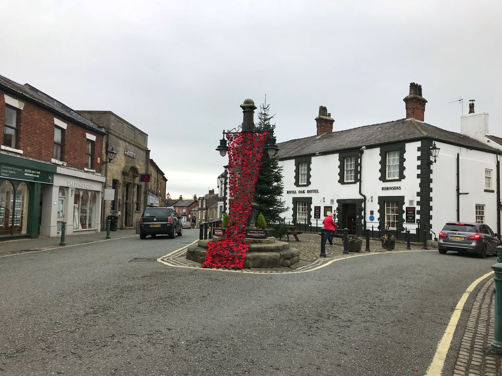 Garstang Remembrance tribute. by happypat
