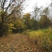 Autumn Path by oldjosh