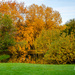 Autumn in Ringve Botanical Garden 2 by elisasaeter