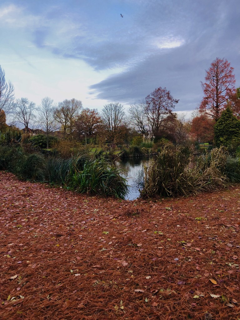 Waddon Ponds by rumpelstiltskin