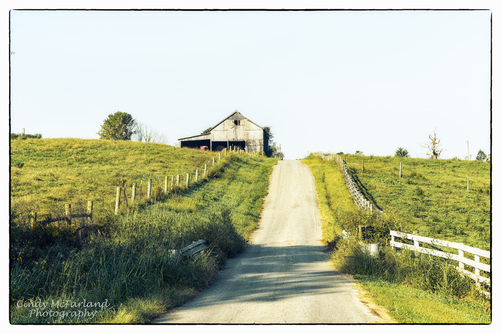 Old country road by cindymc