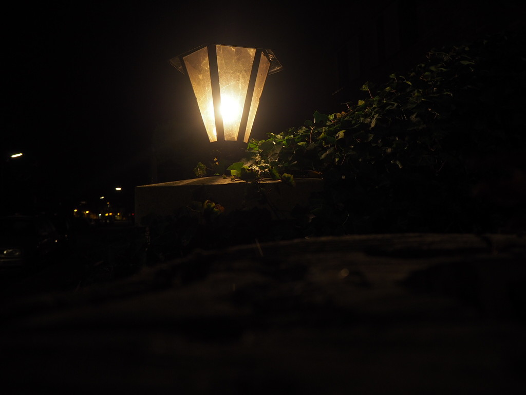 Lantern by jacqbb