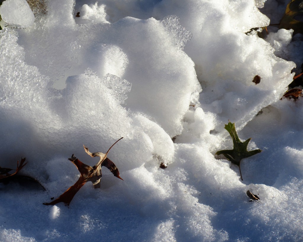 November 15: Ice Sculptures by daisymiller