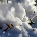 November 15: Ice Sculptures by daisymiller