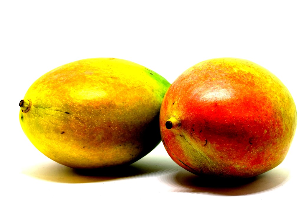 mangoes by christophercox