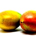 mangoes by christophercox