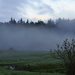 Horse in Fog  by jgpittenger