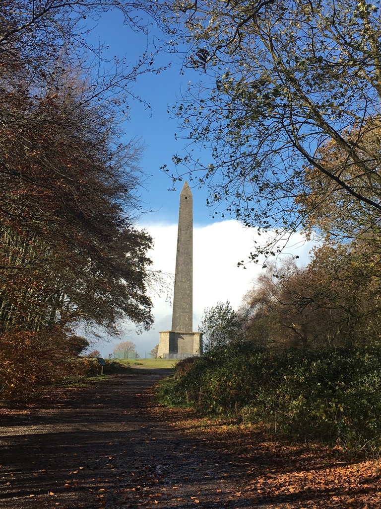 Wellington Monument by tinley23