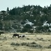 Driving through Montana by pandorasecho
