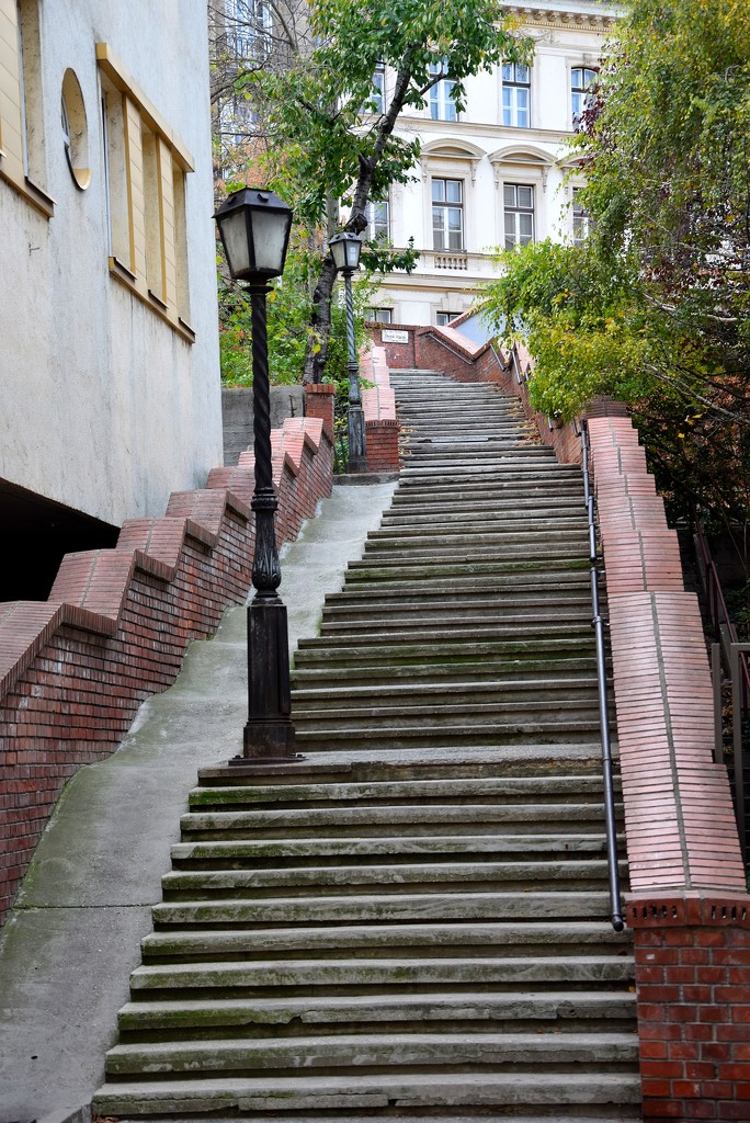 Donati stairs by kork