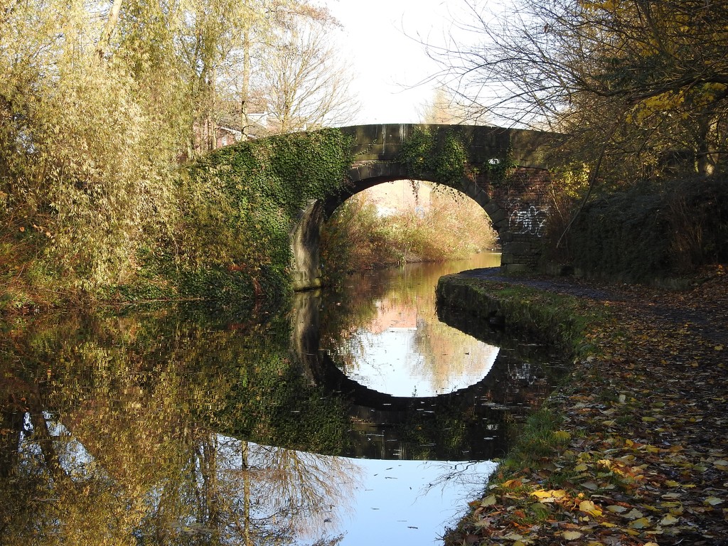 Bridge over the Rochdale Canal - Failsworth by oldjosh