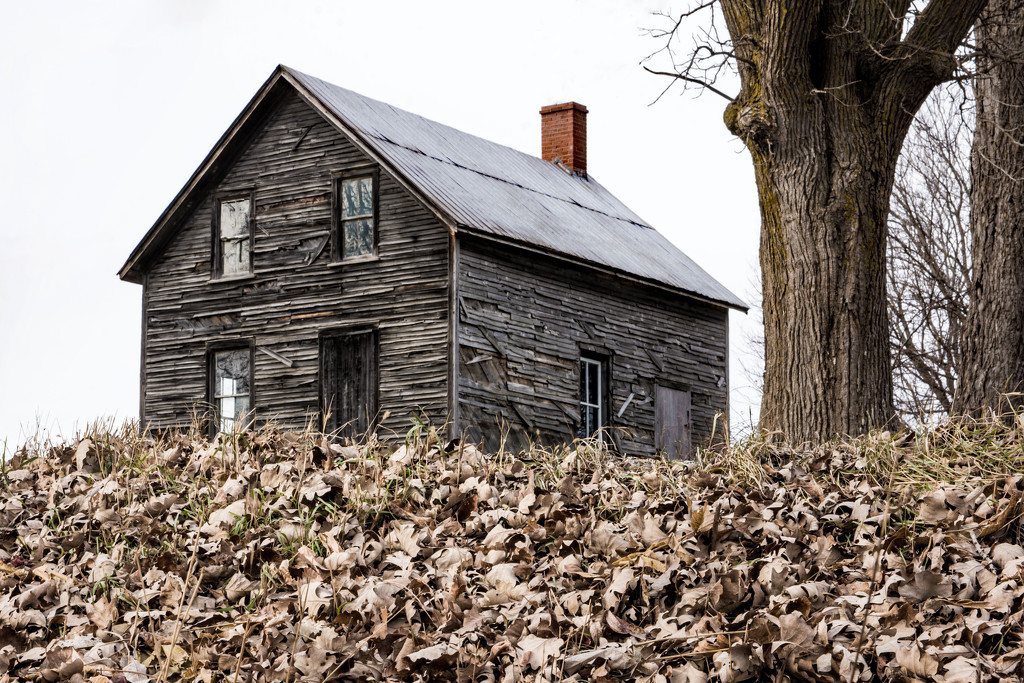 Little House on the Prairie by farmreporter