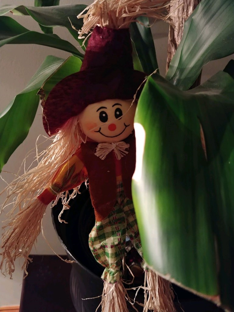 Peeking Scarecrow by jo38