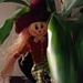Peeking Scarecrow by jo38