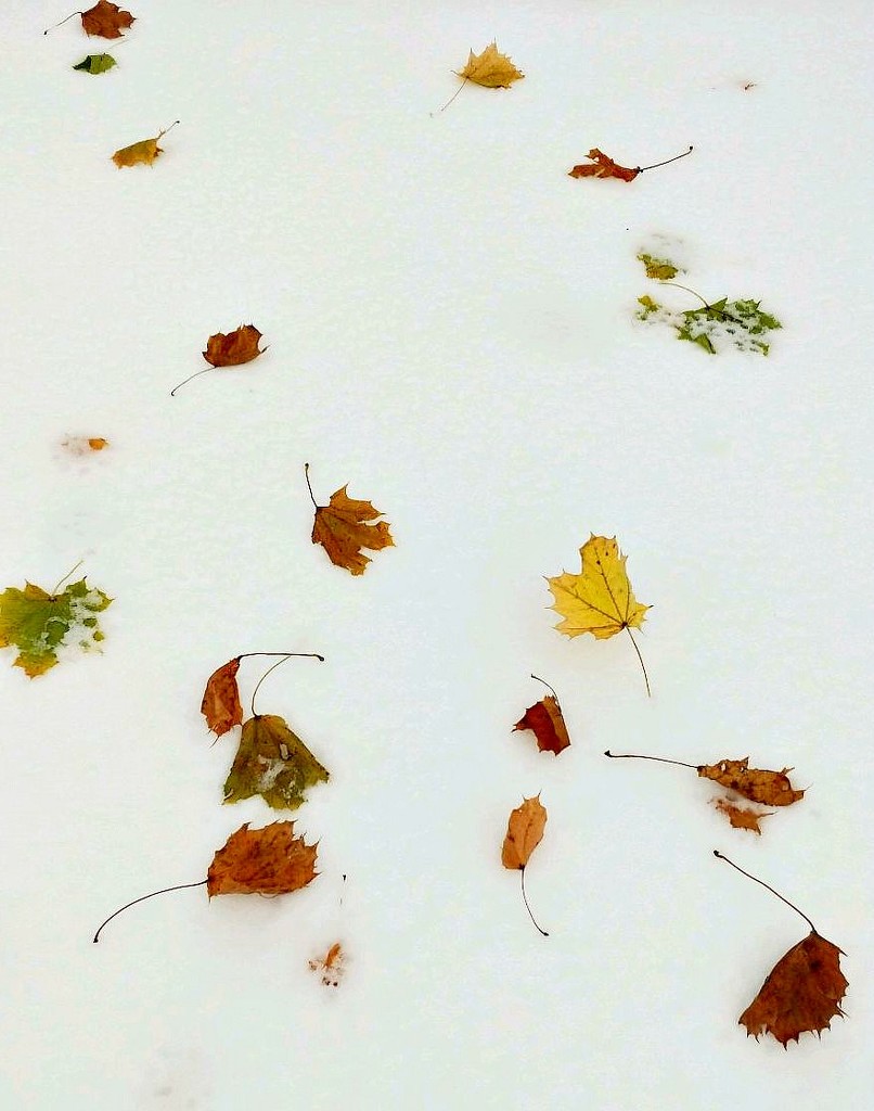 Fall Meets Winter by jo38