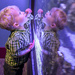 Aquarium Wonders by stefneyhart