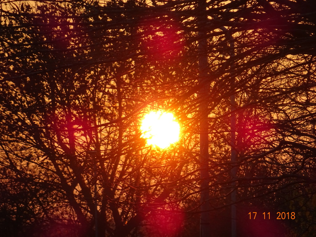 setting sun by arthurclark