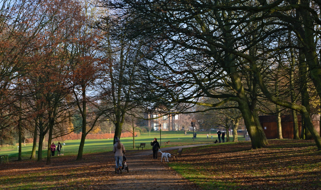 Woodthorpe Park through a Vintage Lens by phil_howcroft