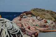 17th Nov 2018 - fishing nets in Sorrento