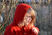 17th Nov 2018 -  Our very  own  little Red Riding Hood 