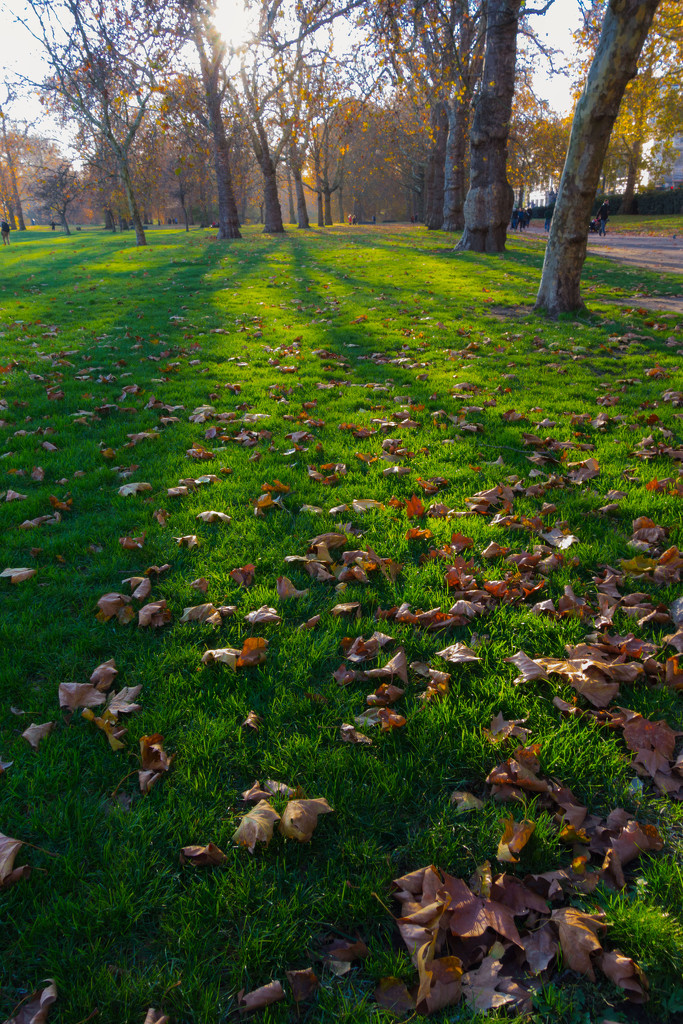 Green Park by rumpelstiltskin