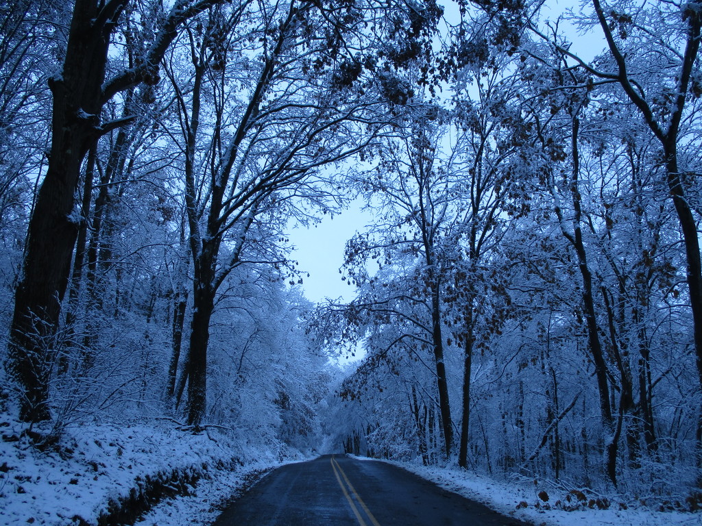 Quiet Snowy Road by julie