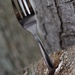 Fork in the Branch by 30pics4jackiesdiamond