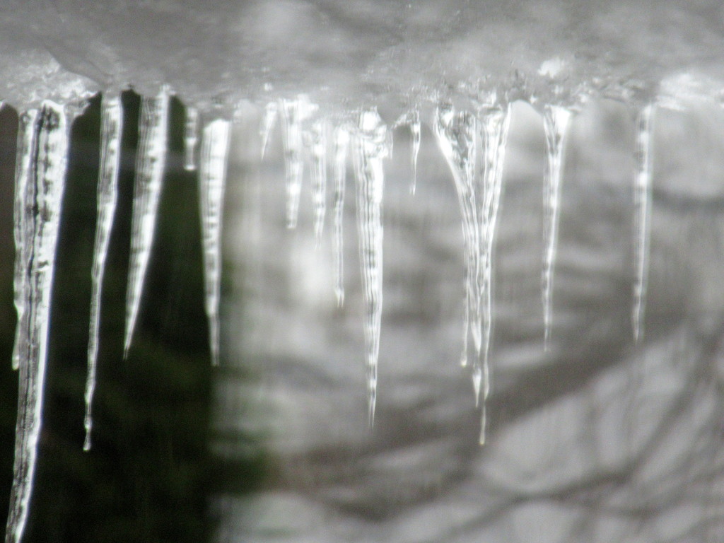 Icicles by bruni