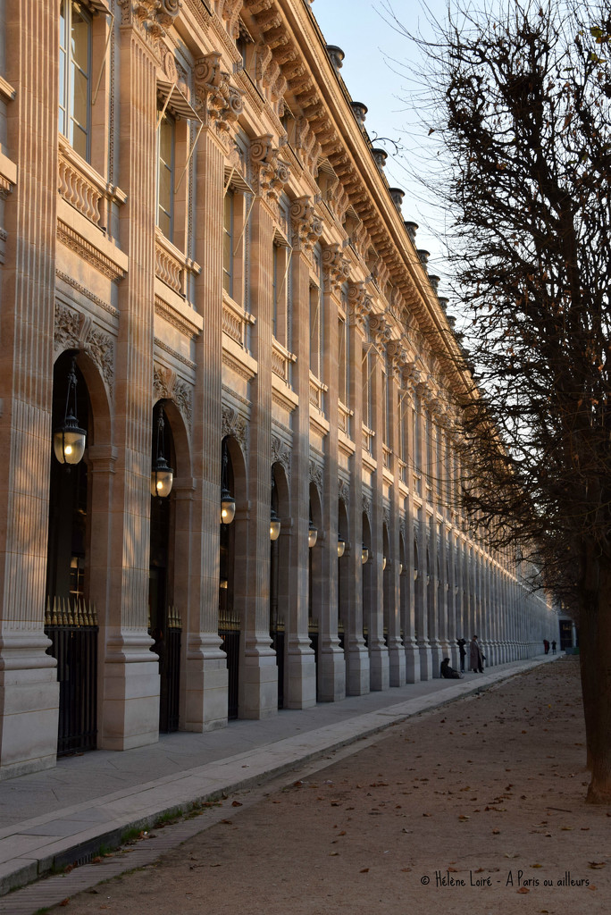 Palais Royal by parisouailleurs