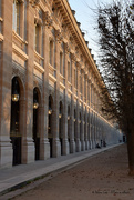 17th Nov 2018 - Palais Royal