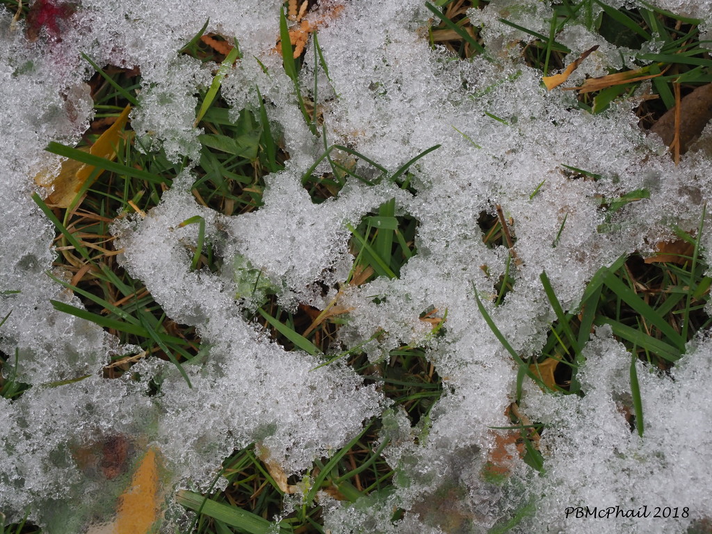 First Snow by selkie