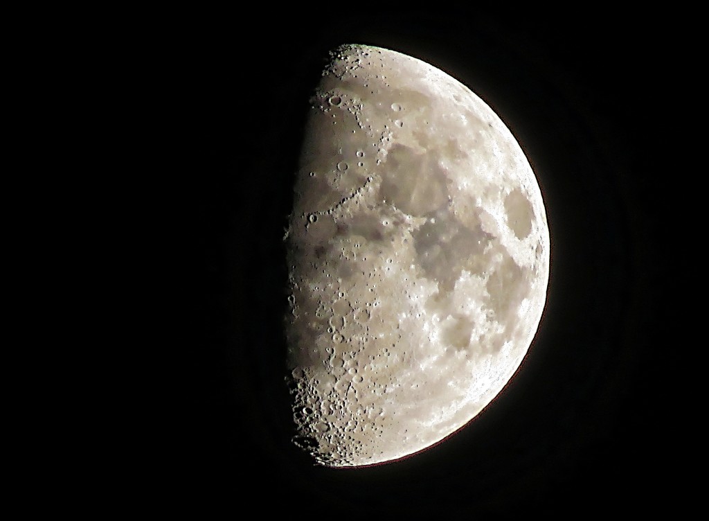 Half Moon on November 16th by olivetreeann