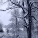Winter Wonderland by skipt07