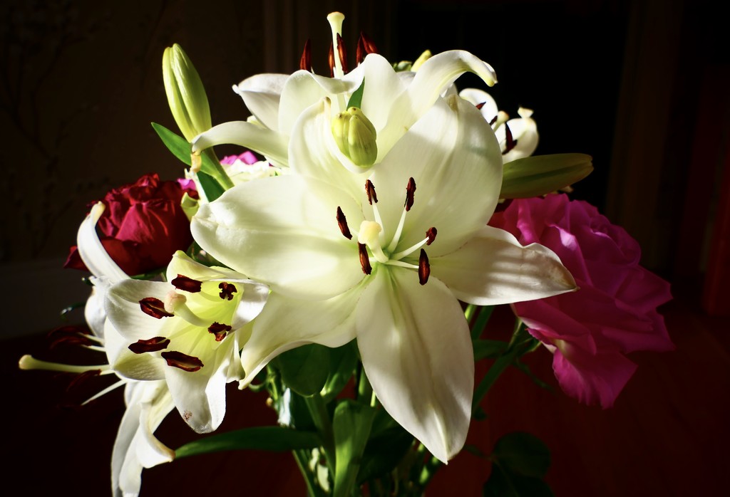Last Weeks Flowers by carole_sandford