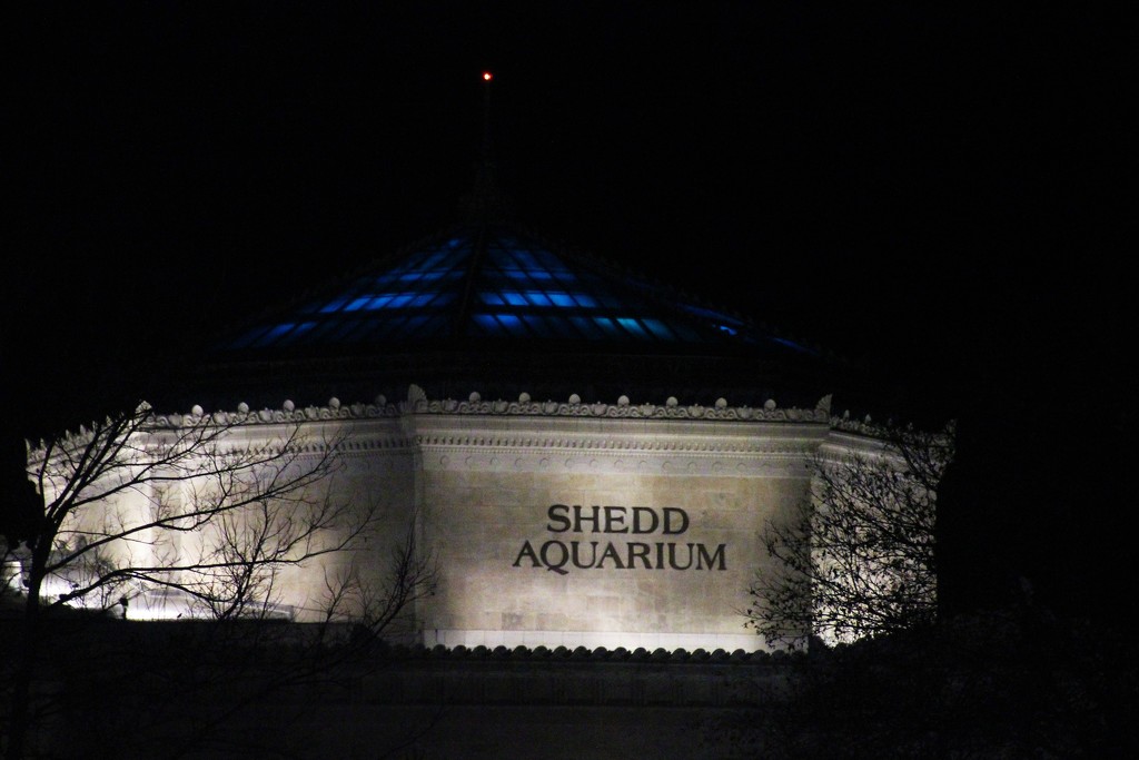 The Big Aquarium  by randy23