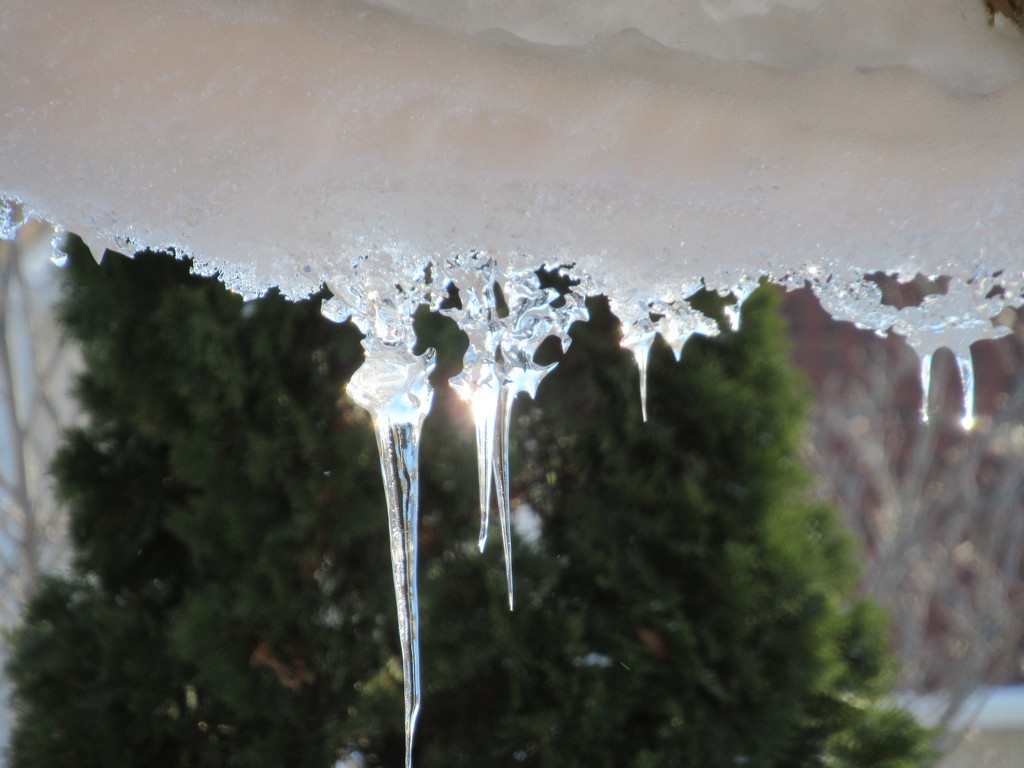 I couldn't resist - snow slide - icicles by bruni