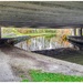 Under the bridge!  by lyndamcg