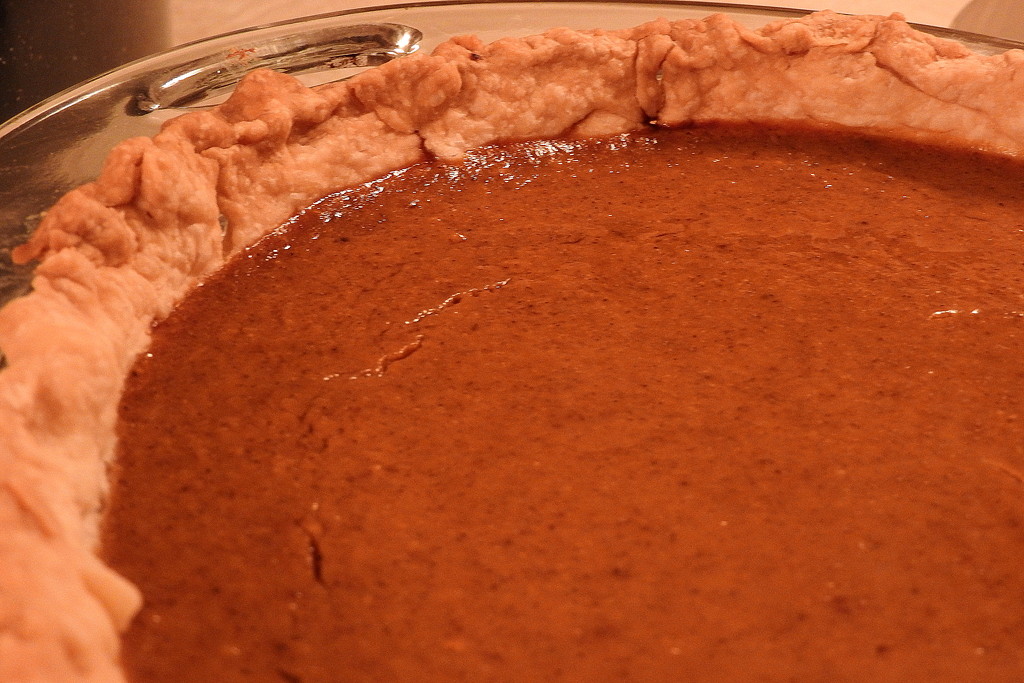 Who's ready for some pumpkin pie? by homeschoolmom