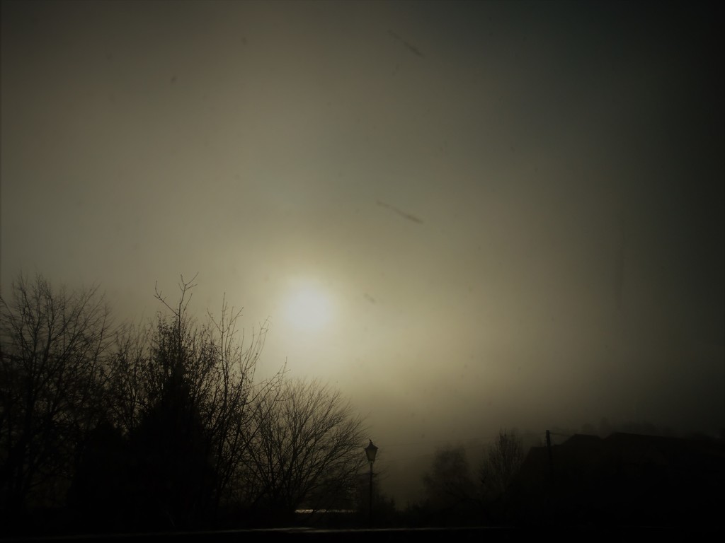 A very dark, frosty and foggy morning  by beryl